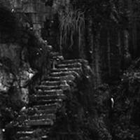 Bosque : Ermo Abismo